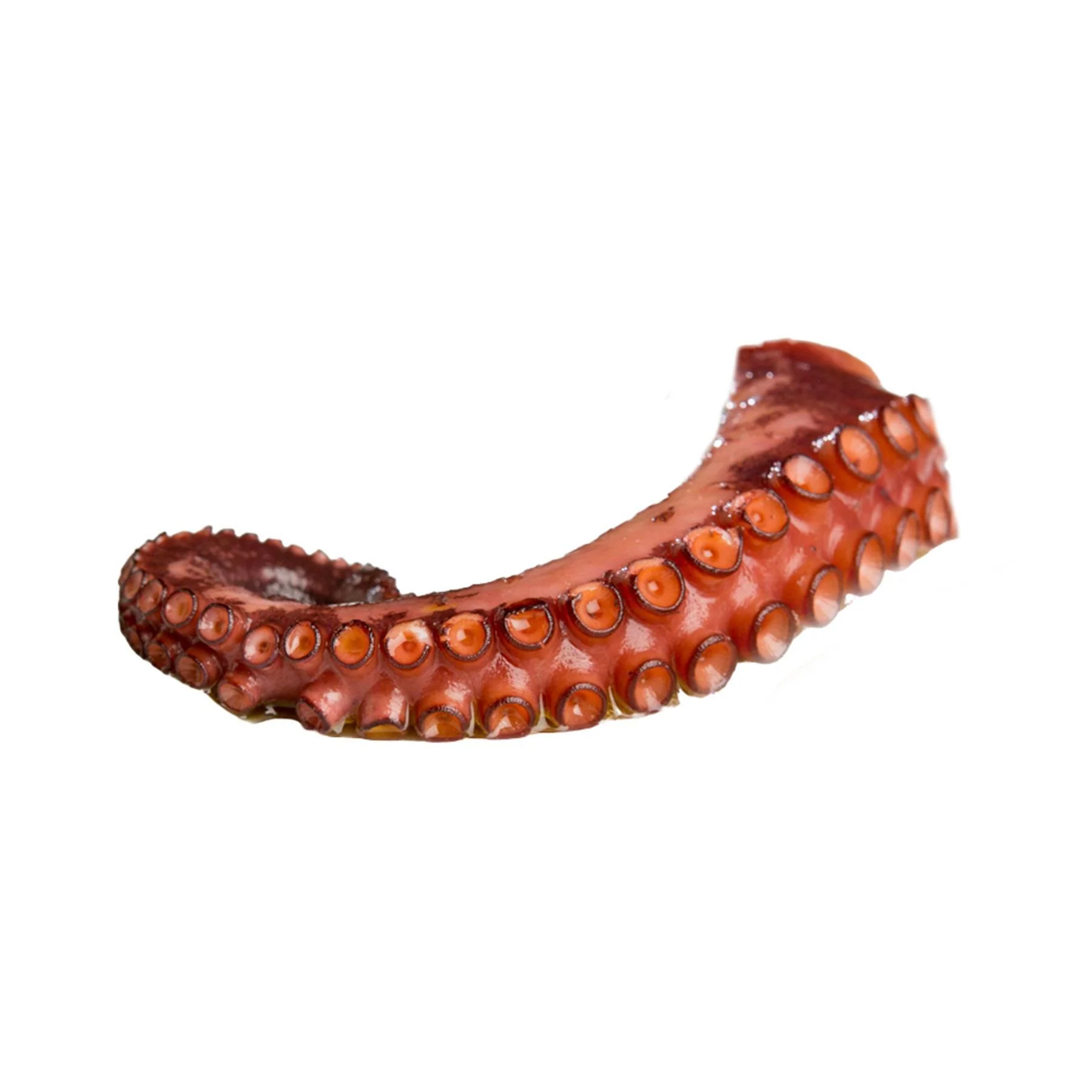 Frozen octopus legs, cooked, 500g