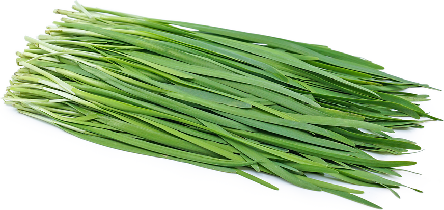 Chives, prepackaged, 15 g