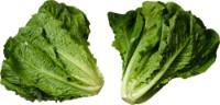 Lettuce ROMAINE, category I, kg