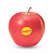 Apples EVELINA, category I, kg