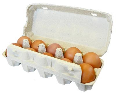 Kiaušiniai rudu lukštu, L dydis, 10 vnt.