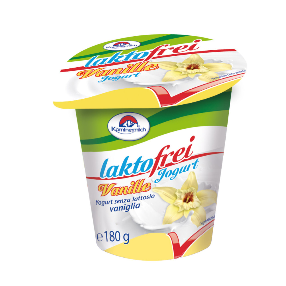 Jogurtas su vanile LAKTOFREI VANILLE, be laktozės