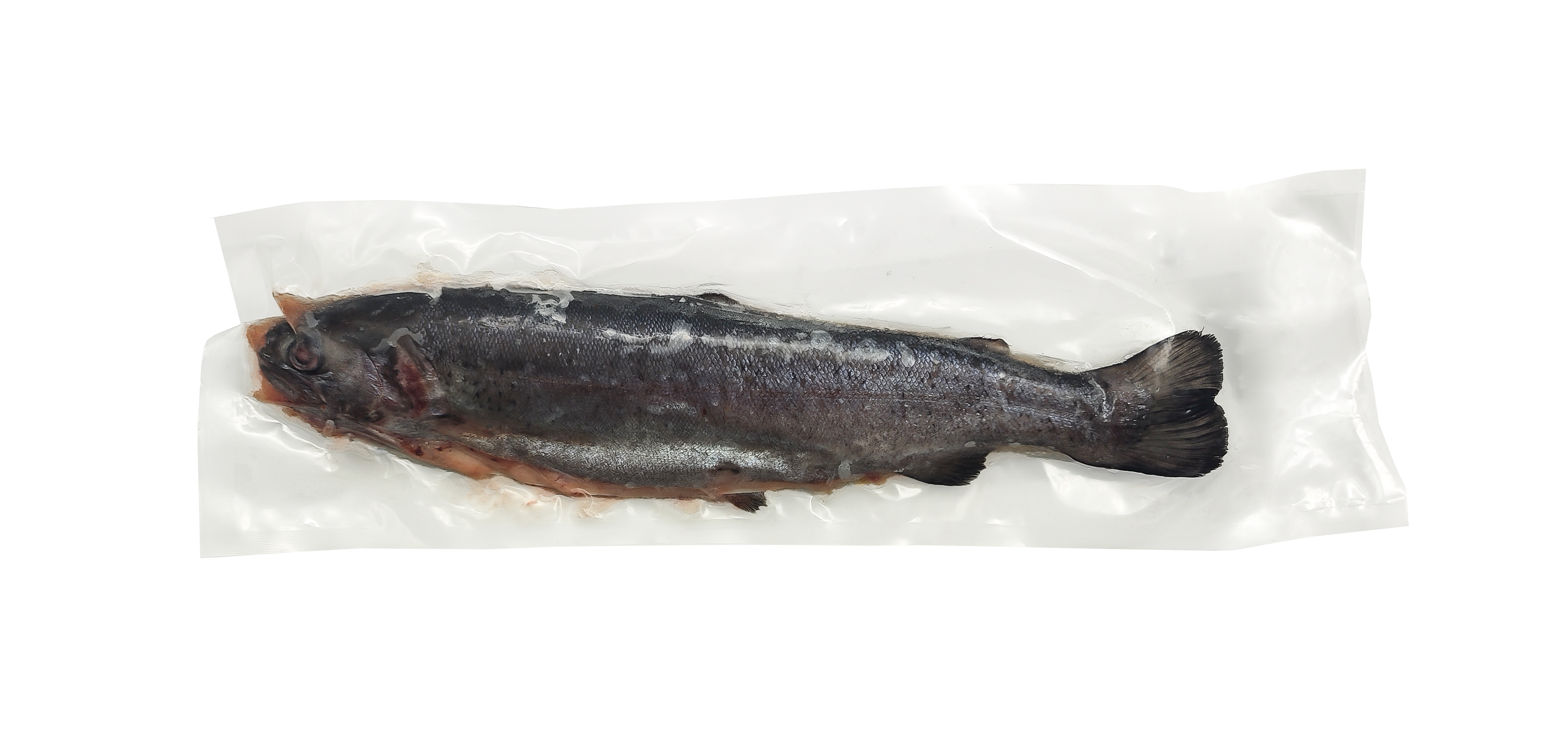 Frozen rainbow trout, with head, gutted, in vacuum, ~400g