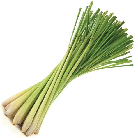 Lemongrass, prepackaged, 30 g