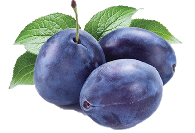 Mėlynosios slyvos LEPOTICA, 1 kg