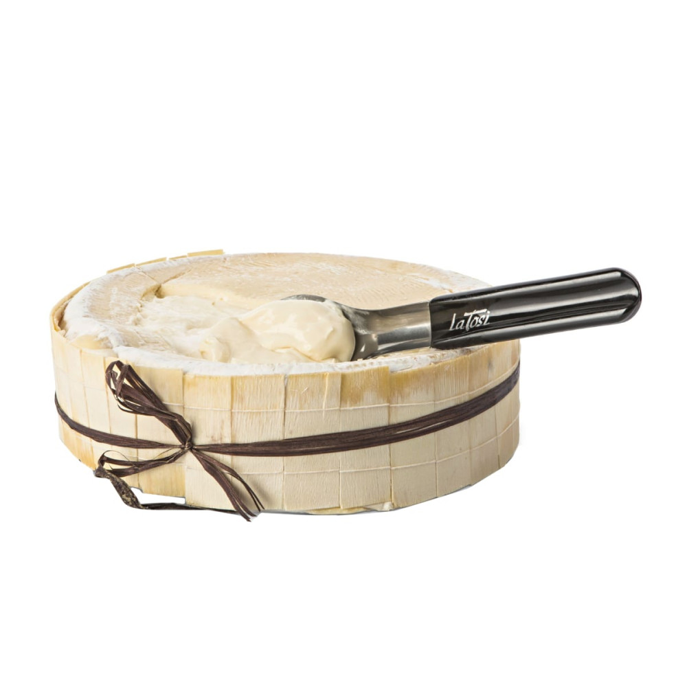 Sūris CREMOSO MORLACCO, brandintas 10 d.