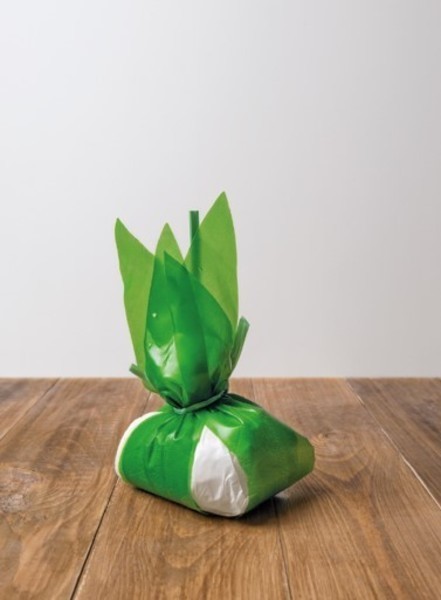 Fresh cheese Burrata MALDERA, 350 g