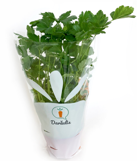 Parsley, in pot, pcs.