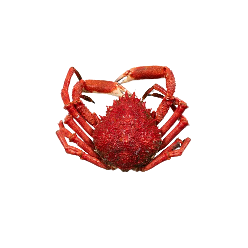 Frozen, boiled, spider crab, 600-800 g