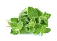 Oregano, kg