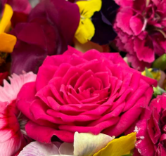Roses, pcs.