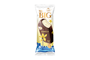 Ledai vaniliniai su glaist. MR.BIG 90g