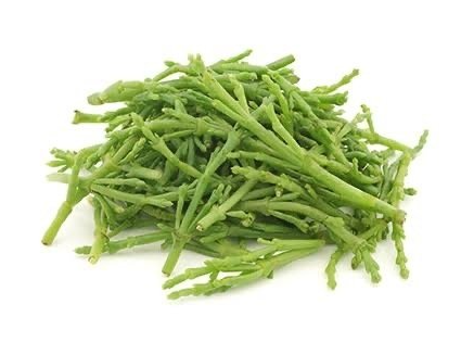 Salicornia, kg