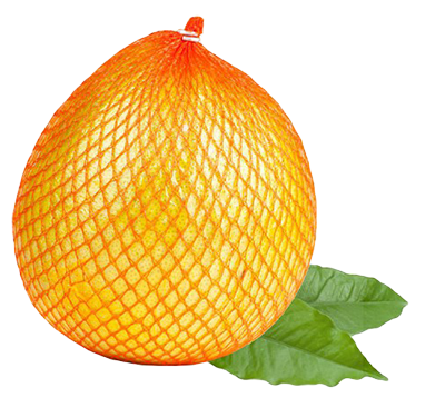 Greipfrutai POMELO, 1 kg