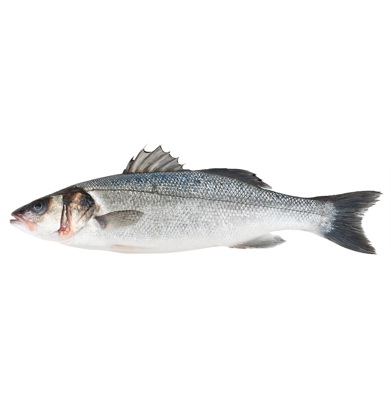 Seabass, not gutted, kg
