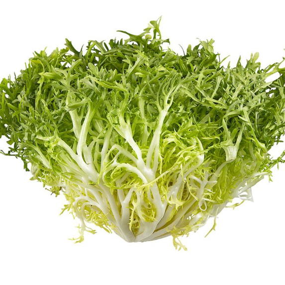 Salad FRISEE, kg