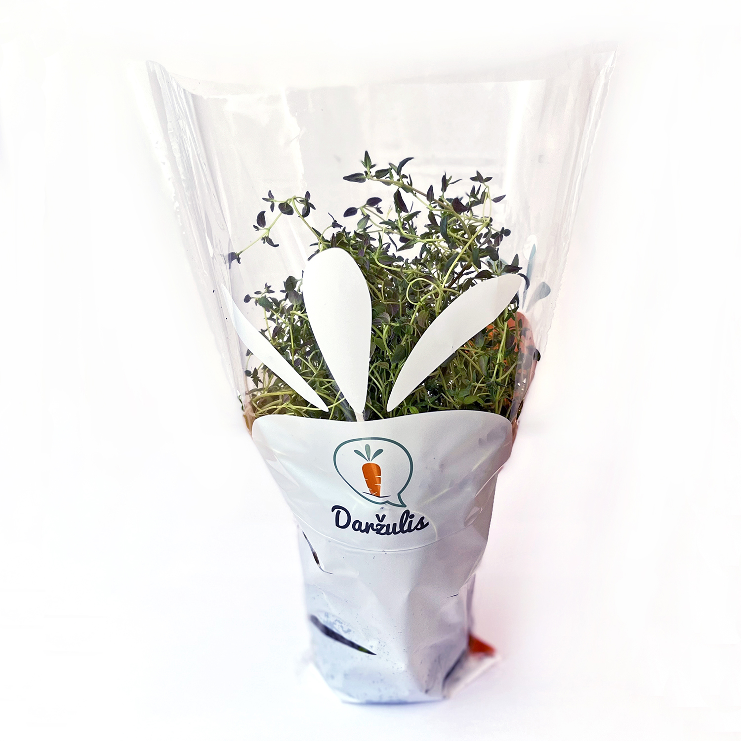 Thyme, in pot, pcs.