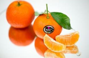 Mandarins BOLLO, with leaves, kg