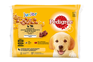 Šunų ėdalo rinkinys PEDIGREE JUNIOR 4x100 g