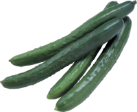 Cucumbers I cat, kg
