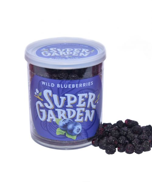 Freeze-dried blueberries