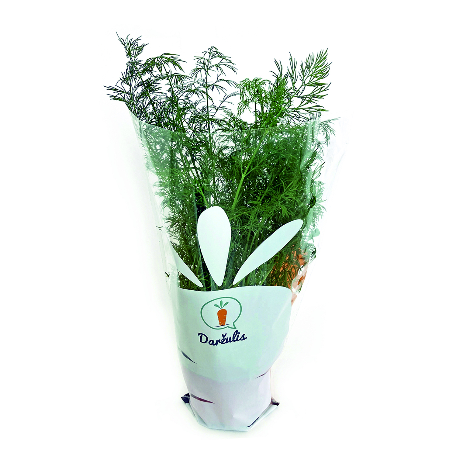 Dills, in pot, pcs.