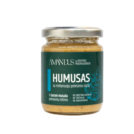 Hummus with blue cheese and Garam Masala spices