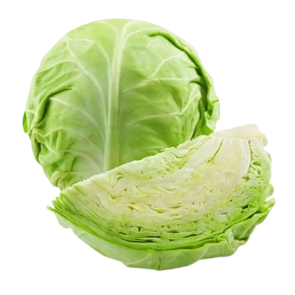 Cabbage, Class II.