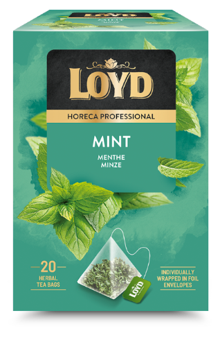 Herbal tea  drink LOYD HORECA mint pyramid, 20 x 2g