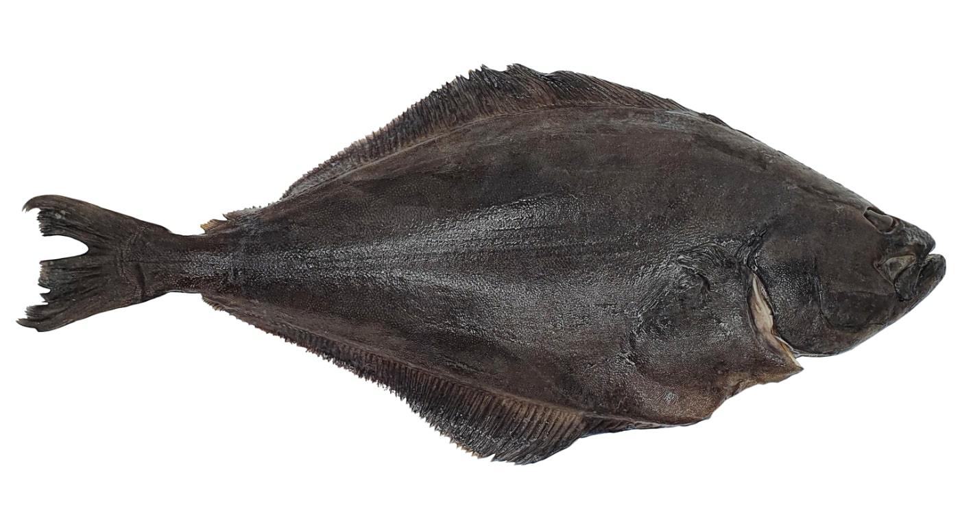 Halibut White with head, kg