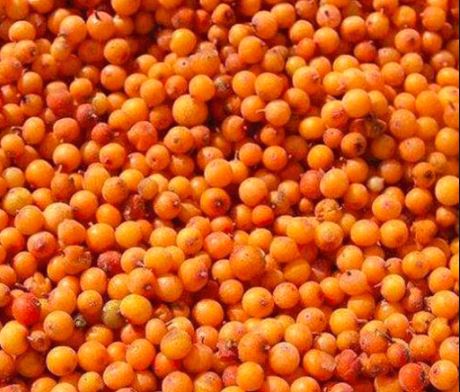 Frozen seabuckthorn berries, 1 kg