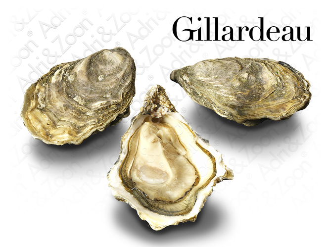 Oysters ADRI & ZOON Gillardau 2 , Ireland, 80-120 g, pcs.