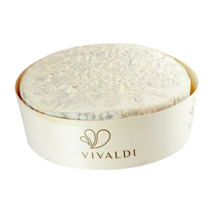 Mėlynojo pelėsio sūris GORGONZOLA DOP, brandintas 45 d.