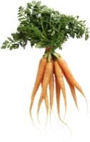 Fresh carots, packed, I class, pcs.