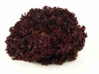 Lettuce LOLLO ROSSA, kg