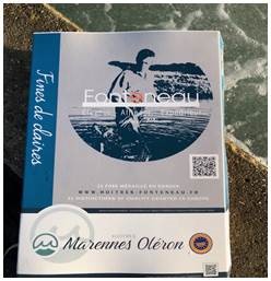 Giant oysters Fines de Claire Marennes-Oléron No 2  1 box,24 pcs