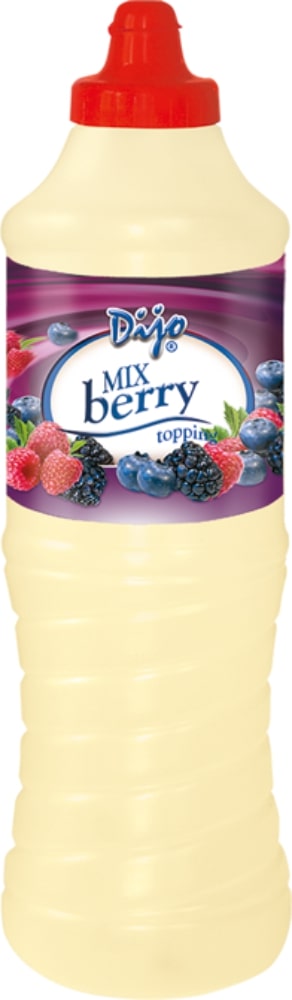Dessert sauce DIJO, forest berry flavor, 1 kg