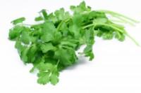 Coriander, kg