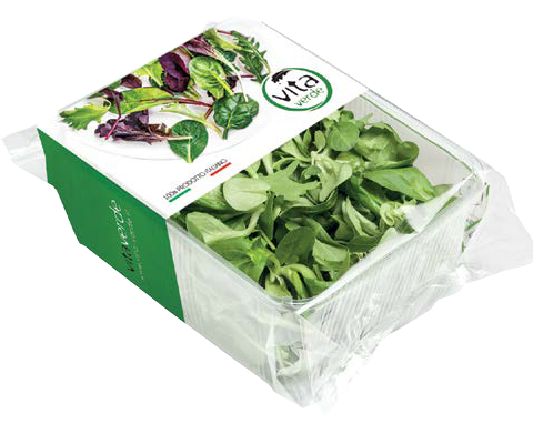 Wild rocket and lamb's lettuce salad,  100 g