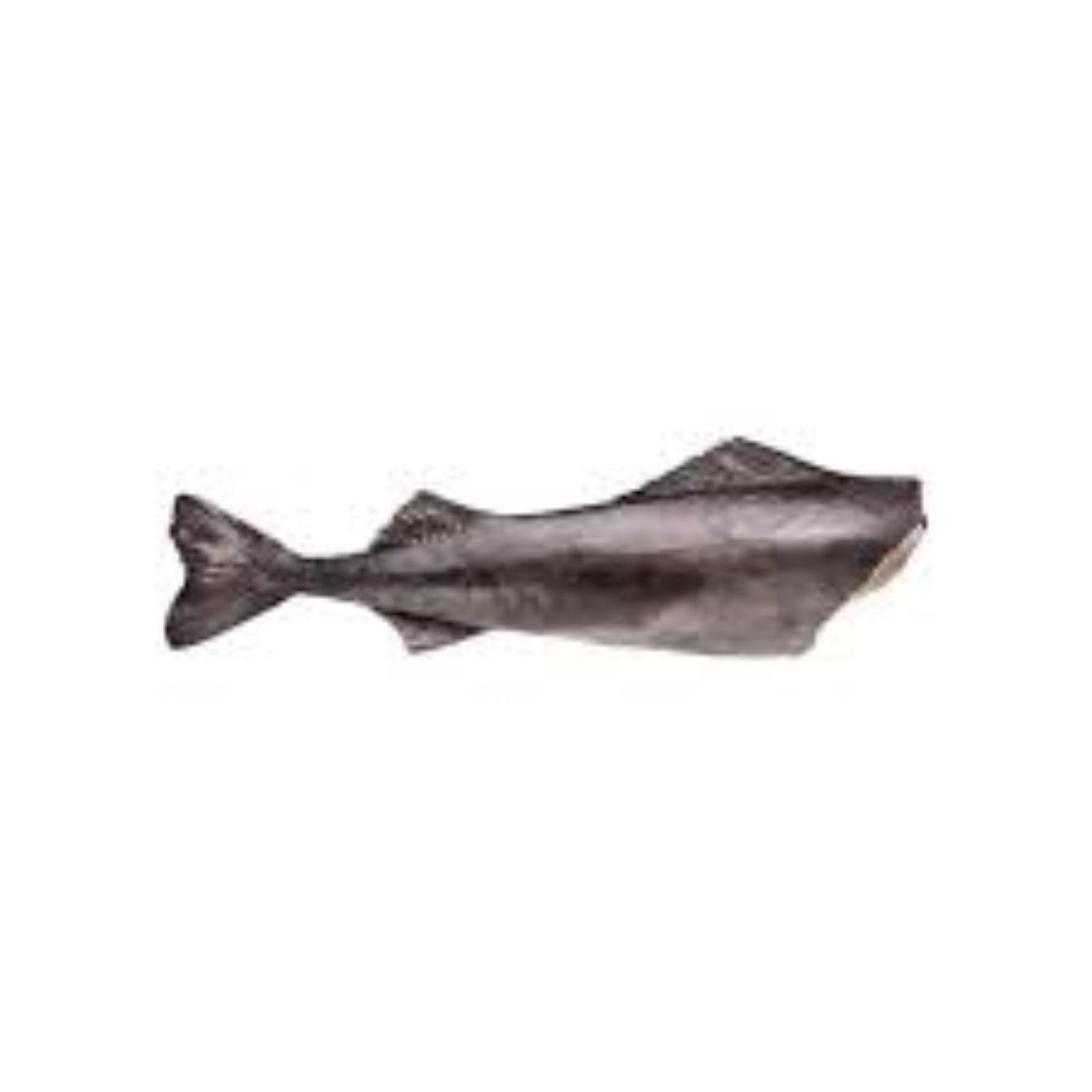 Cod ADRI & ZOON, head less, gutted 2-4 kg, ~3 kg