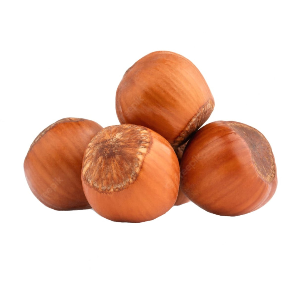 In-shell hazelnuts