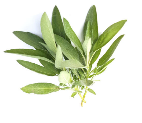 Sage, prepackaged, 15 g