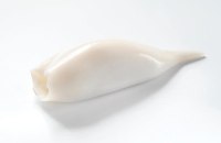 Squid tubes U5, 30%, 1/0,7 kg