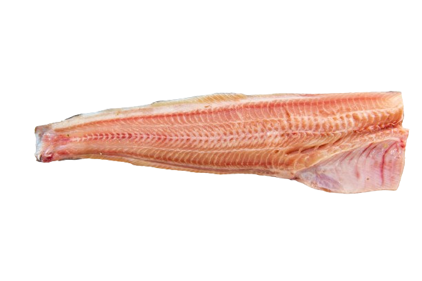 Catfish african, skin on, 300-800g, 5kg