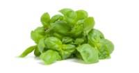 Basil, kg