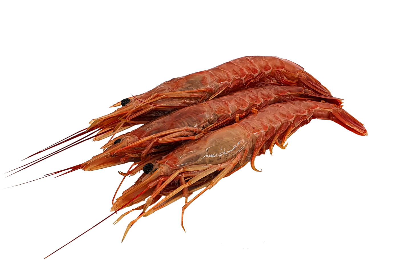 Thawed pleoticcus muelleri prawns, head on, shell on,10/20 kg