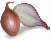 Onions SHALOT, I class, kg