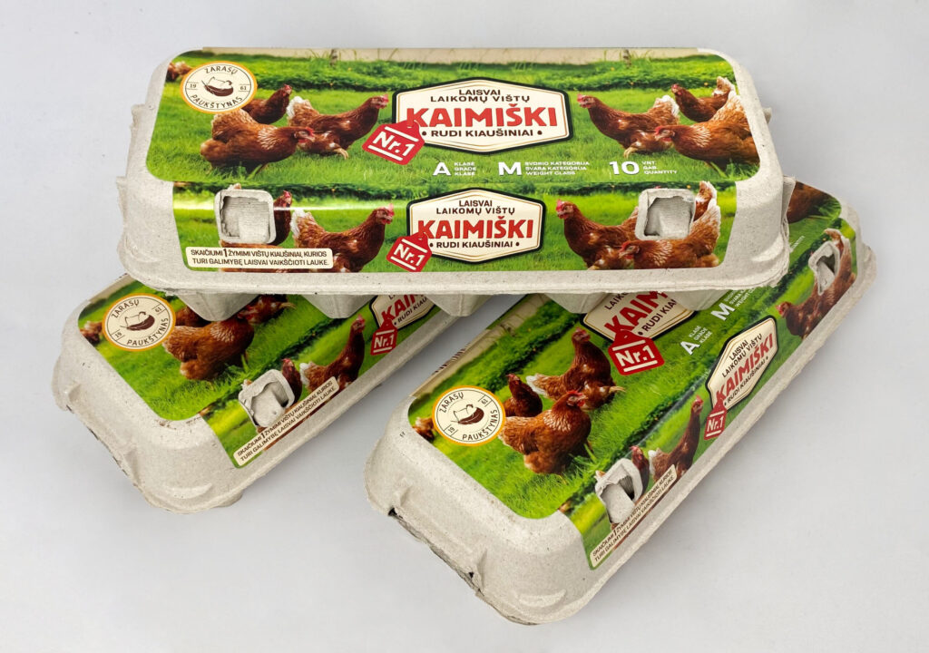 Free-range eggs SPARNAI brown, packed, 10 pcs.