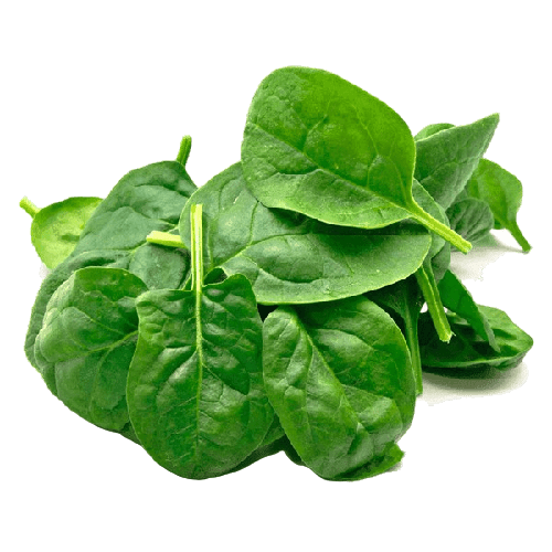 Baby Spinach