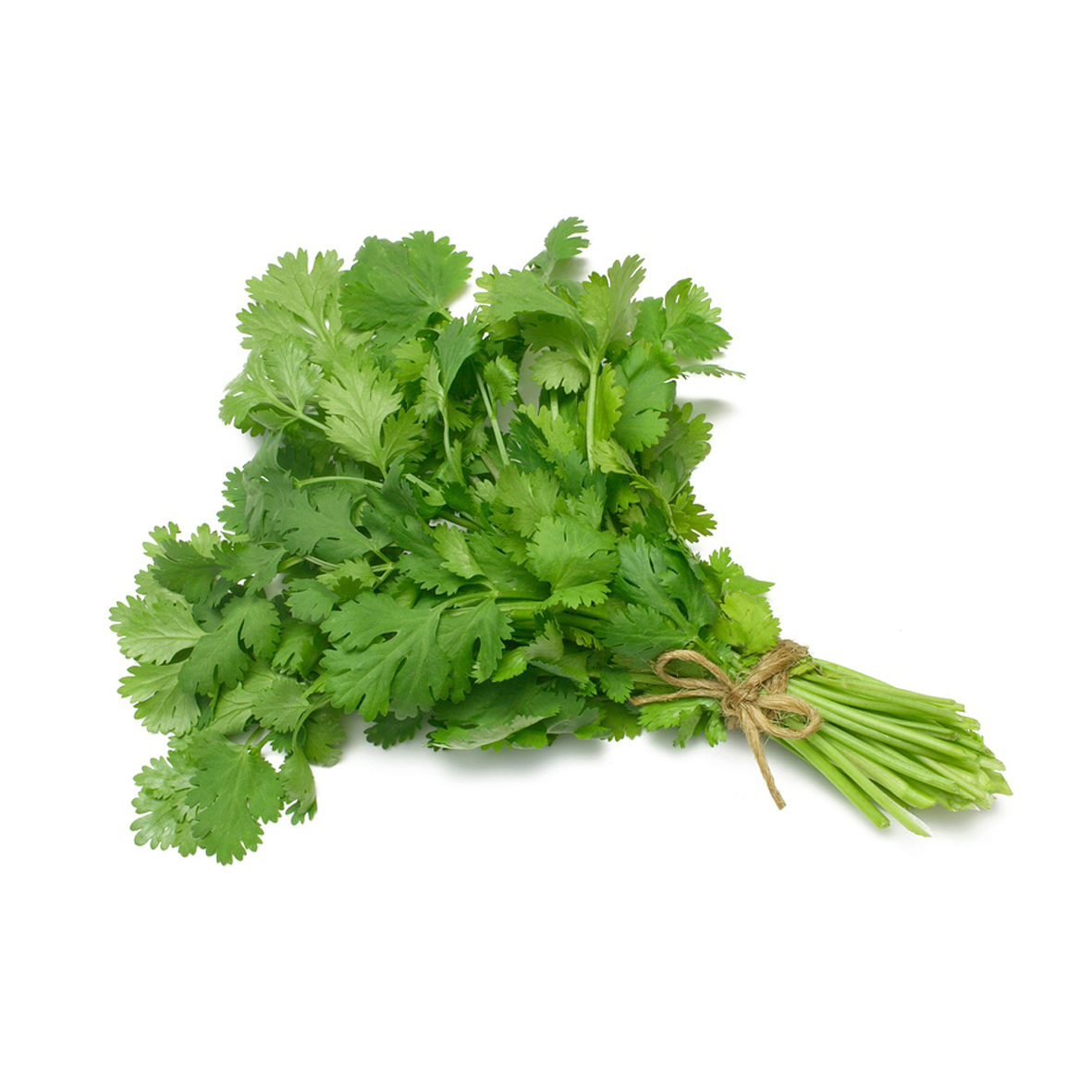 Coriander, prepackaged, 15 g